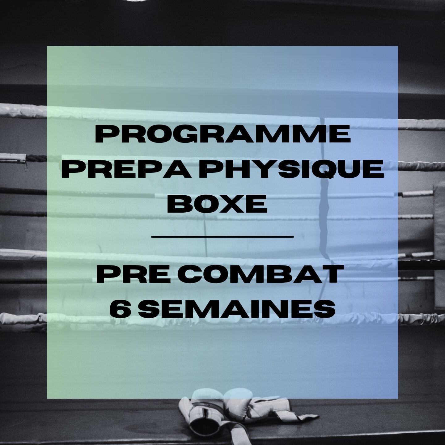 Préparation physique boxe anglaise pré-combat 6 semaines